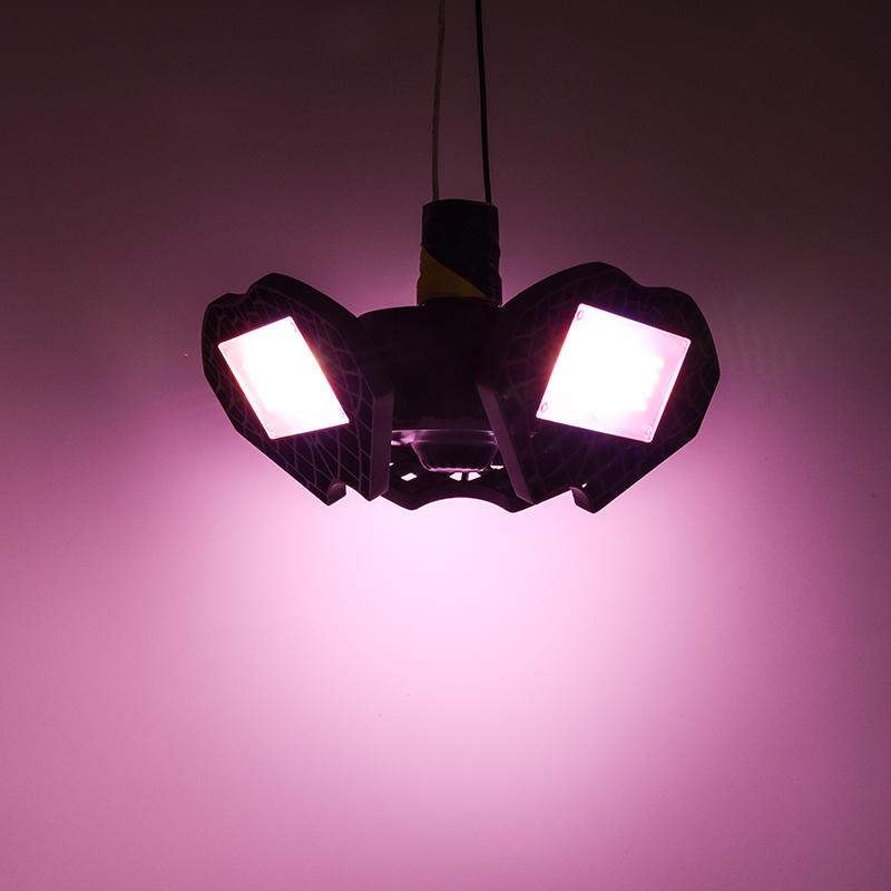 LED Clover Lamp